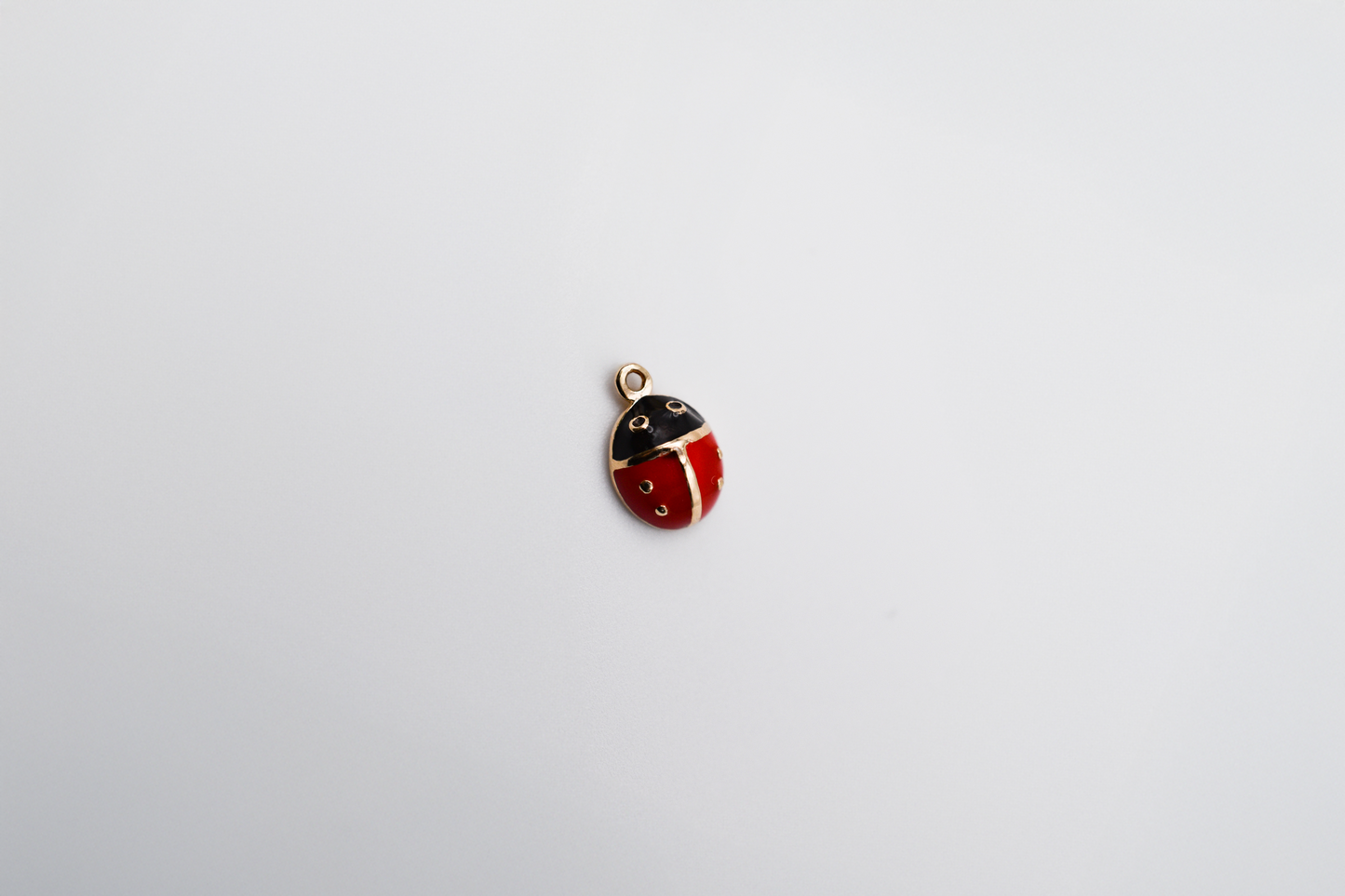 Ladybug Charm