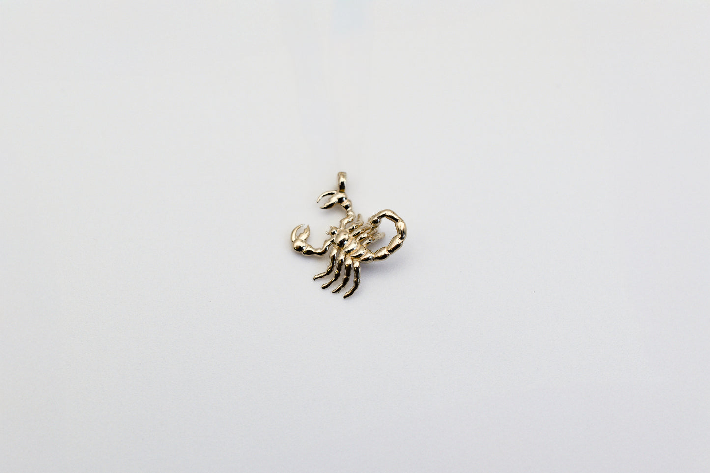 Scorpion Charm