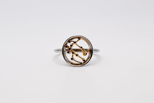 Zodiac Constellation Ring