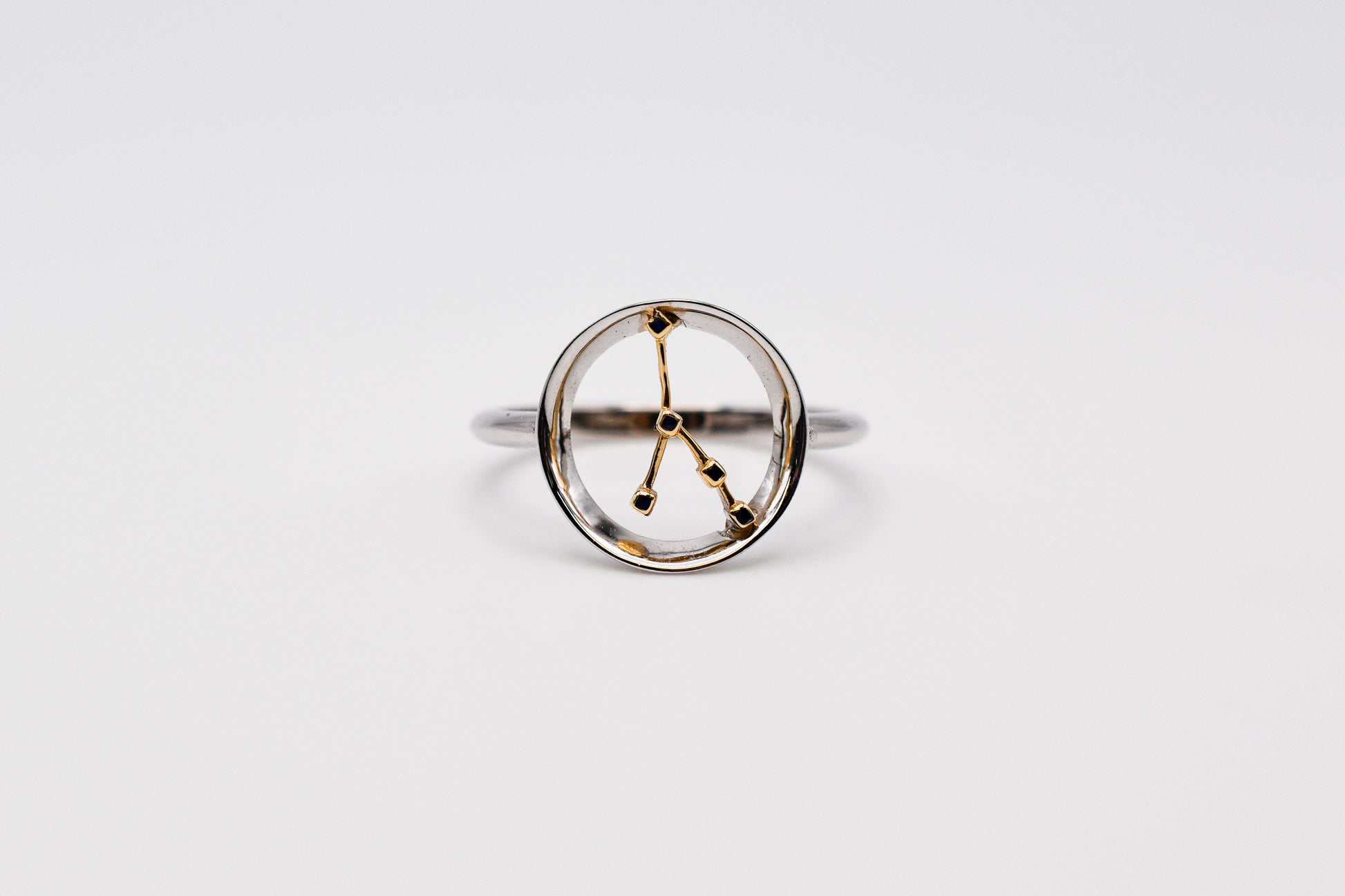 Zodiac Constellation Ring