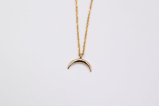 Crescent Moon Necklace