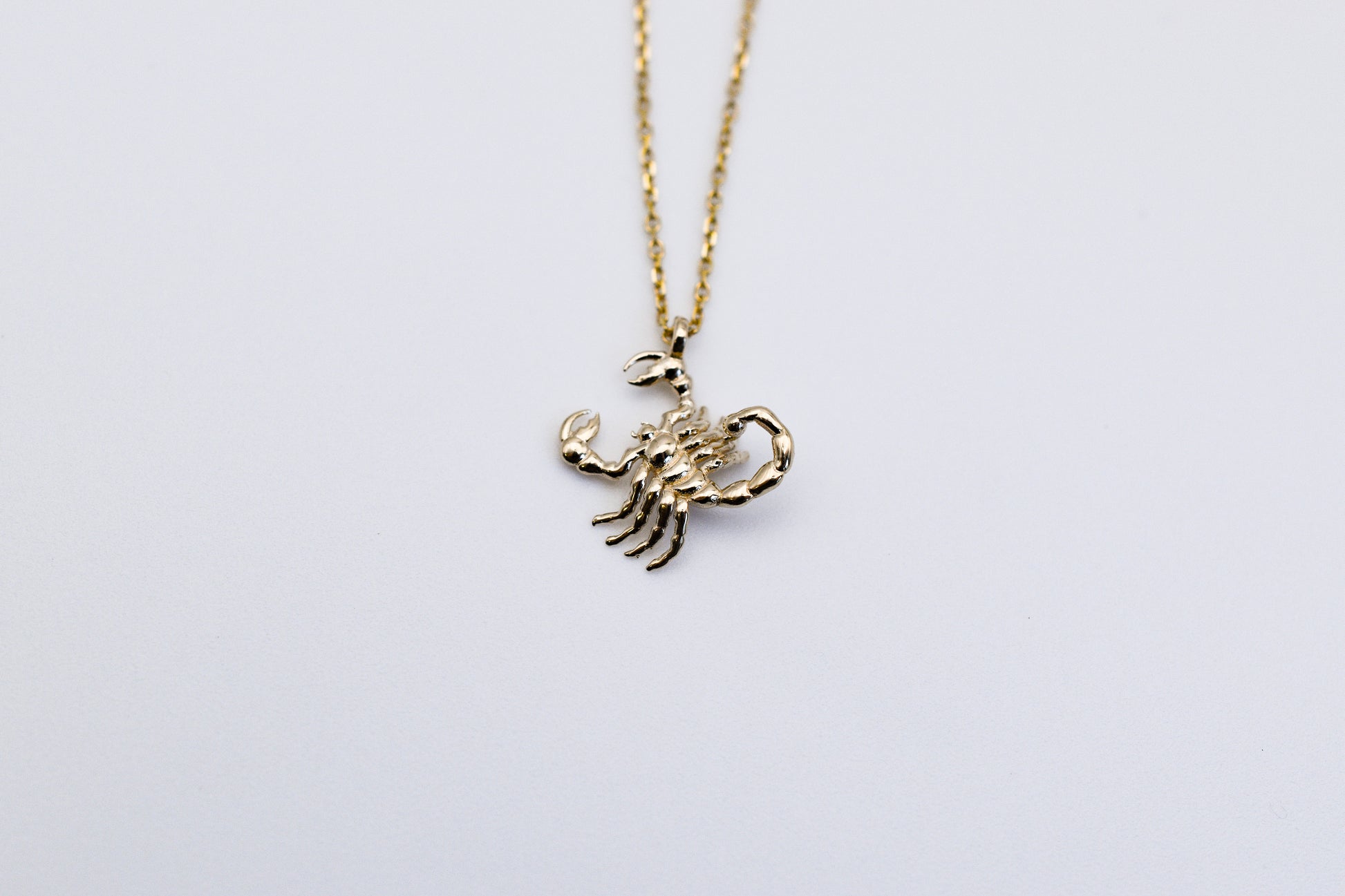 Scorpion Necklace