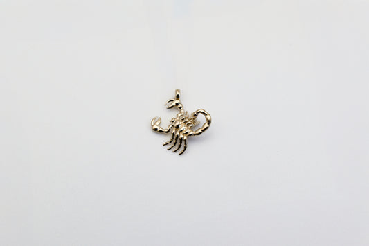 Scorpion Charm